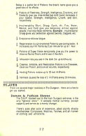 Alternate Reality: The Dungeon manual page 22