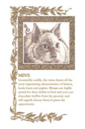 Beyond Zork Lore and Legends page 11