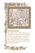 Beyond Zork Lore and Legends page 15