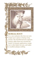 Beyond Zork Lore and Legends page 19
