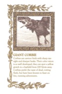 Beyond Zork Lore and Legends page 9