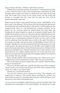 Cholo manual page 11