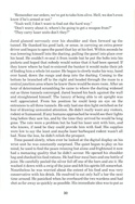 Cholo manual page 30
