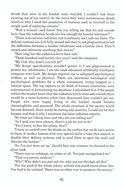 Cholo manual page 41
