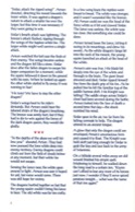DragonStrike manual page 3