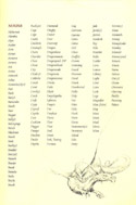 Dragonworld user manual page 11