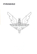 Elite Space Traders Flight Training Manual page 1