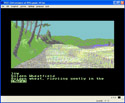 The Guild of Thieves screen shot 2