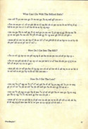 The Guild of Thieves What Burglar page 29