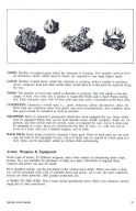 Might and Magic manual page 27