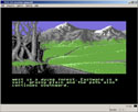The Pawn screen shot 2