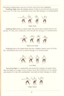 Pirates! manual page 13