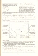 Pirates! manual page 25
