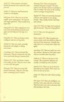 Pool of Radiance Adventurers Journal Page 11