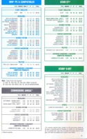 Pool of Radiance SSI 1988 Brochure 14