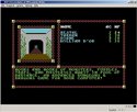 Pool of Radiance Screen Shot 04