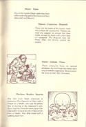 Ultima III: Exodus manual page 17
