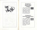 Windwalker I Ching pages 12-13